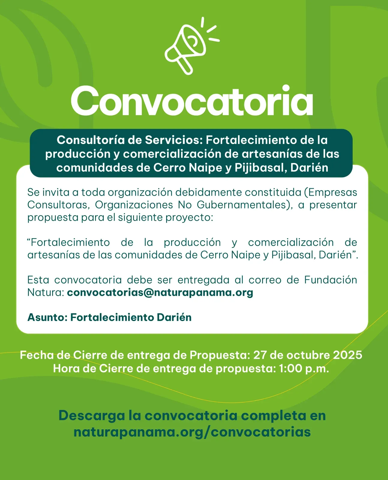Consultoría de Servicios: Fortalecimiento de la producción y comercialización de artesanías de las comunidades de Cerro Naipe y Pijibasal, Darién