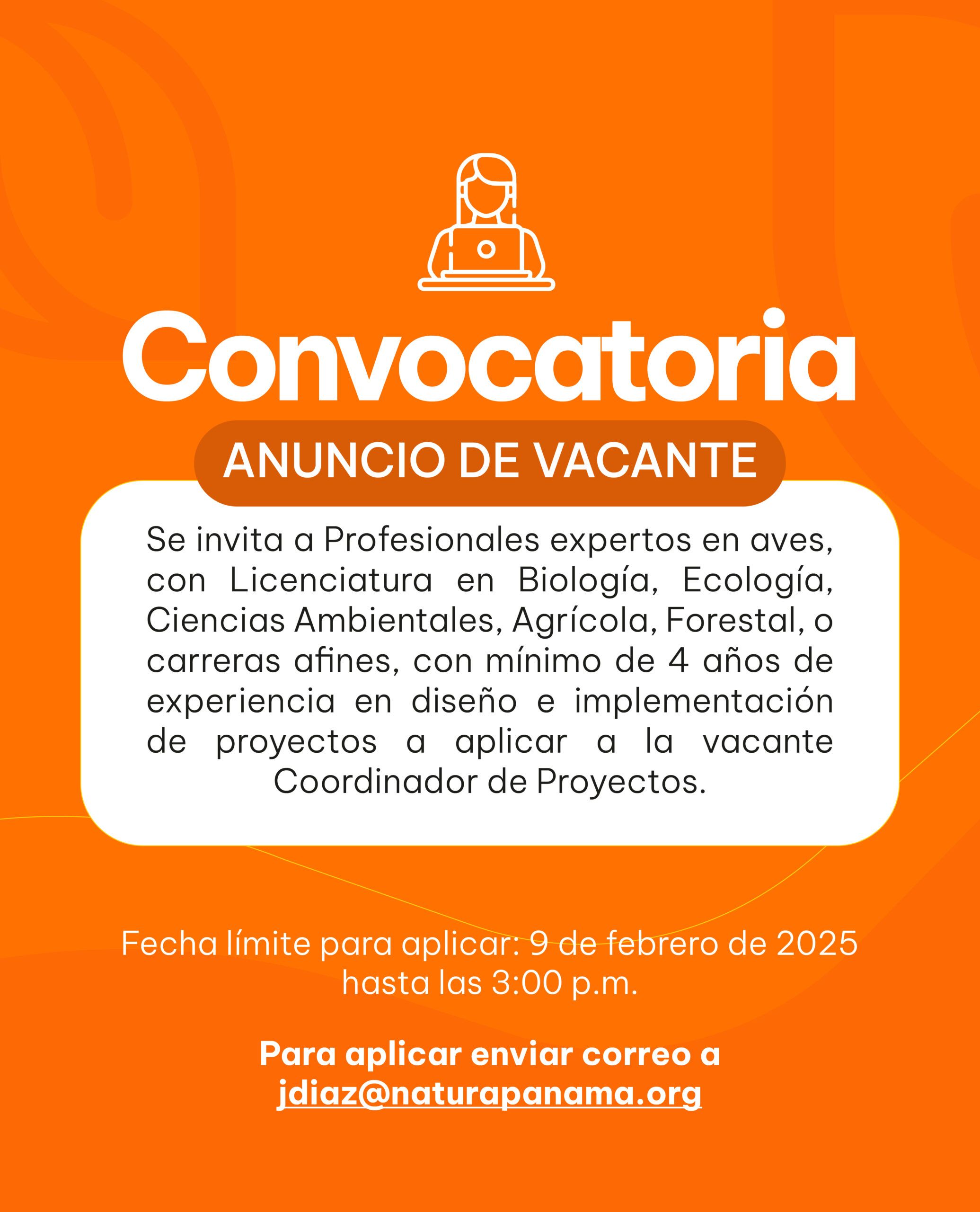 Coordinador de Proyectos