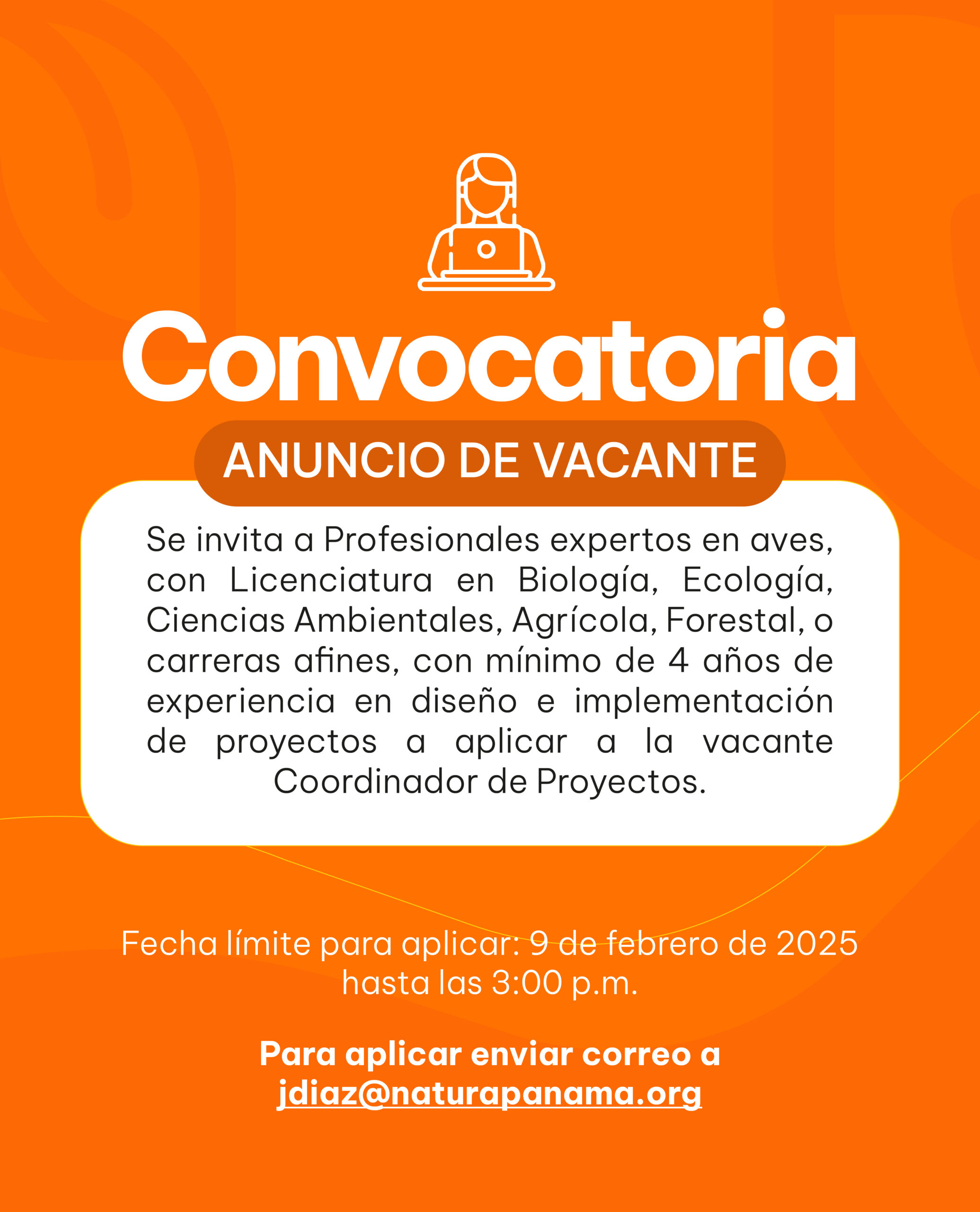 Coordinador de Proyectos