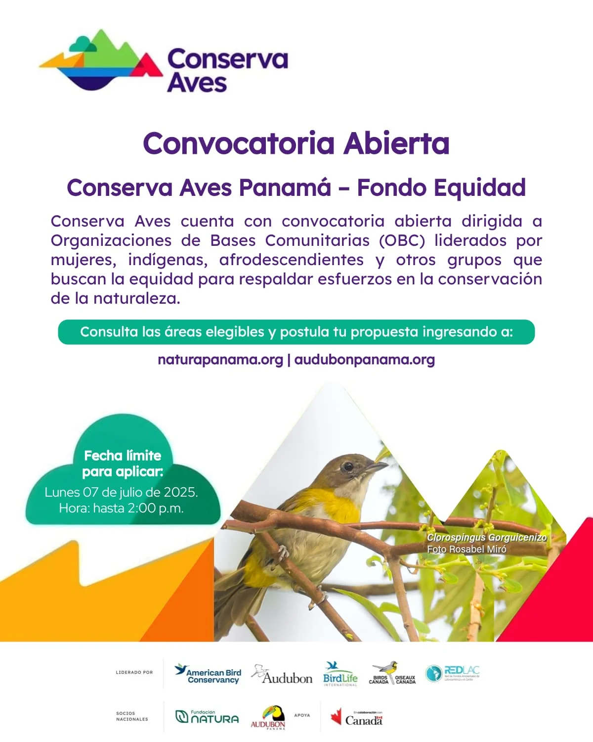 CONVOCATORIA CONSERVA AVES &ndash; FONDO EQUIDAD
