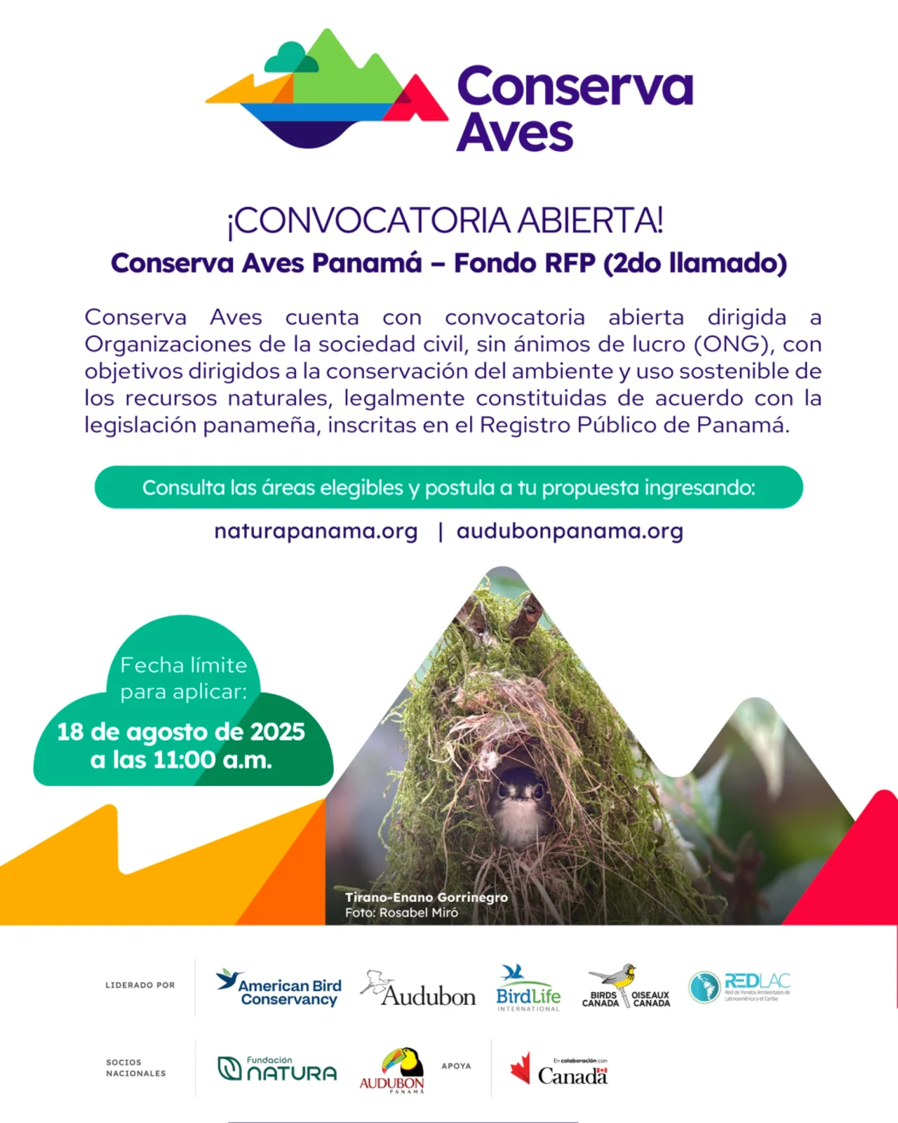 CONVOCATORIA CONSERVA AVES FONDO RFP - 2do Llamado