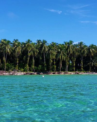 Parque Nacional Isla Bastimentos (POA 2021)