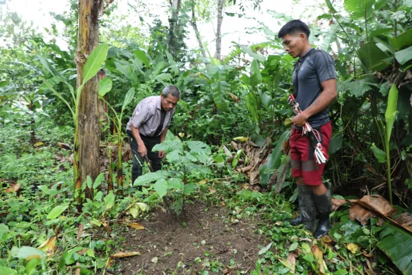 Ciudad de Panamá, agosto 2025 —La comunidad indígena Emberá de Pijibasal es parte de la Reserva de la Tierra Colectiva de Pijibasal, en la provincia de Darién, al sureste de Panamá. Esta pequeña comunidad rural, con cerca de 150 habitantes distribuidos en 40 casas, se ubica en la parte media del río Pirre, cerca del [&hellip;]
