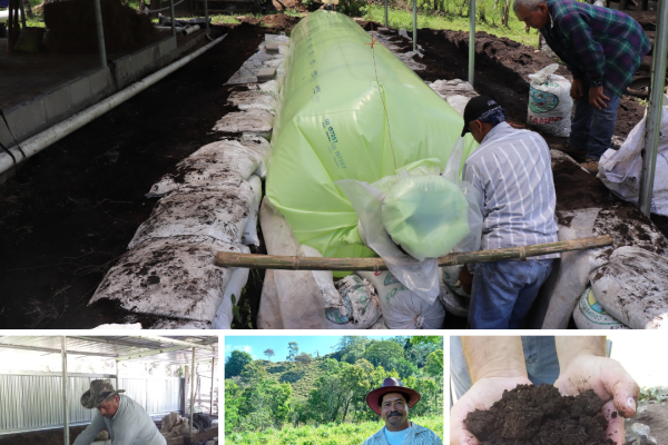 <p>La historia de éxito de Carlos y su finca sostenible gracias a la Fundación Natura. En un mundo donde la sostenibilidad y la conservación del medio ambiente son imperativas, la Fundación Natura se enorgullece de compartir una inspiradora historia de transformación a través del Fondo FIDECO y la economía circular. Conozcan la historia de Carlos, [&hellip;]</p>
