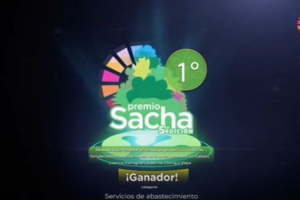 The Natura Foundation is proud to announce that it has been awarded first place in the Supply Services subcategory during the fifth edition of the prestigious PREMIOSACHA awards. This recognition highlights the exceptional work of the Foundation in the forest restoration of water protection zones in the sub-basin of the Caisán River, within the hydrographic basin of the Chiriquí Viejo River.