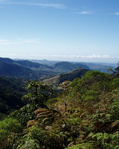 Parque Internacional La Amistad (POA 2021)