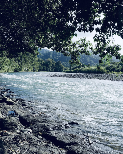 Implementation of Agroforestry and Soil Conservation Systems in the Upper Part of the Santa María River Basin
