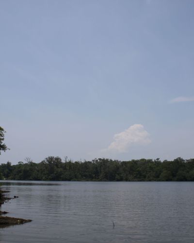 Humedal de Importancia Internacional San San Pond Sak (POA 2022)