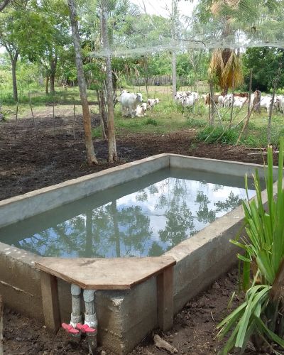 Alternatives for Sustainable Livestock and Biodiversity Conservation in the Garachiné site, San Antonio river micro-basin, Darién National Park