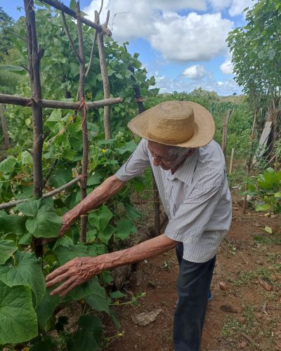 Implementación de dos alternativas de conservación y sensibilización que aporten a la recuperación de la subcuenca del río Guararé
