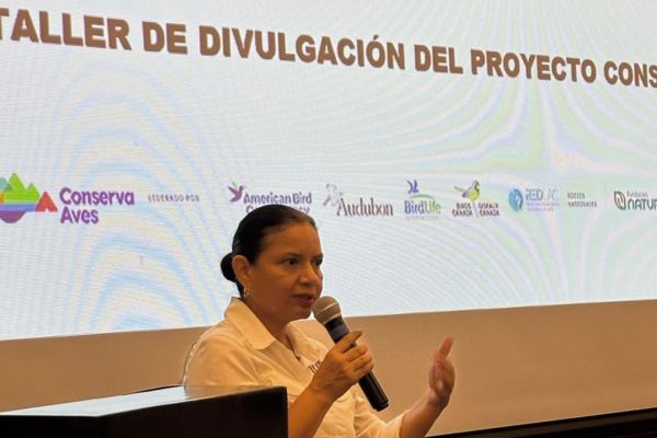 <p>Ciudad de Panamá, abril 2025 – Conserva Aves lanzó su primera convocatoria en Panamá para financiar proyectos de conservación de áreas clave para la biodiversidad en el país, con un enfoque en la protección de aves amenazadas, endémicas y migratorias. La fecha límite para presentar propuestas es el 9 de mayo de 2025. La iniciativa [&hellip;]</p>