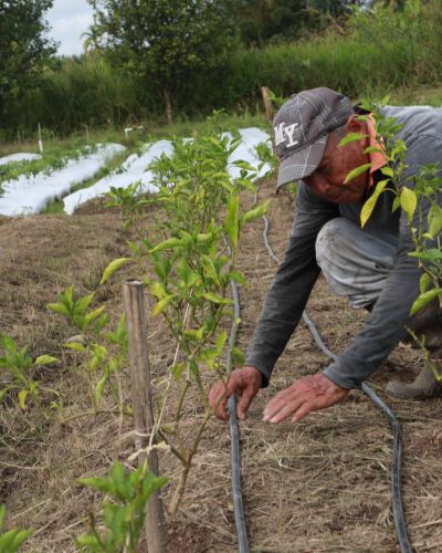 Mejoramiento de la resiliencia clim&aacute;tica en la producci&oacute;n agr&iacute;cola de la parte alta y baja de la cuenca hidrogr&aacute;fica del r&iacute;o Chiriqu&iacute; Viejo (CRChV), a trav&eacute;s de aseguramiento del recurso h&iacute;drico y el establecimiento de sistemas de irrigaci&oacute;n con tecnolog&iacute;as eficientes y de bajo costo