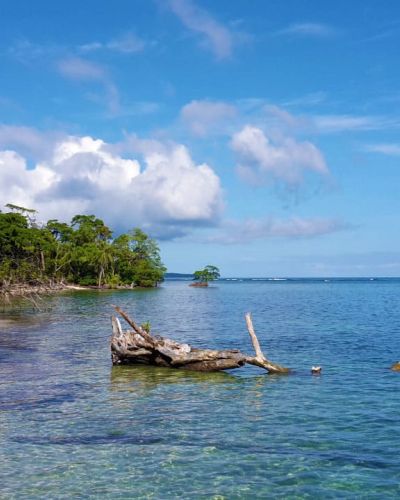 Parque Nacional Isla Bastimentos (POA 2022)