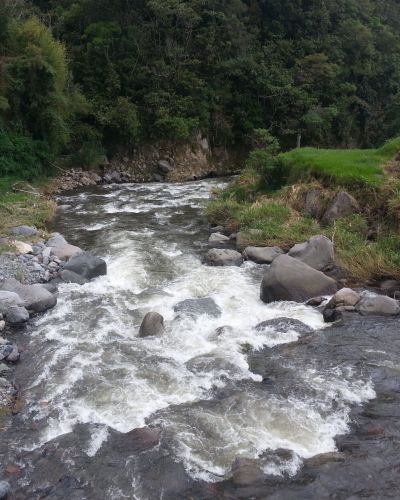 Parque Internacional La Amistad (POA 2022)