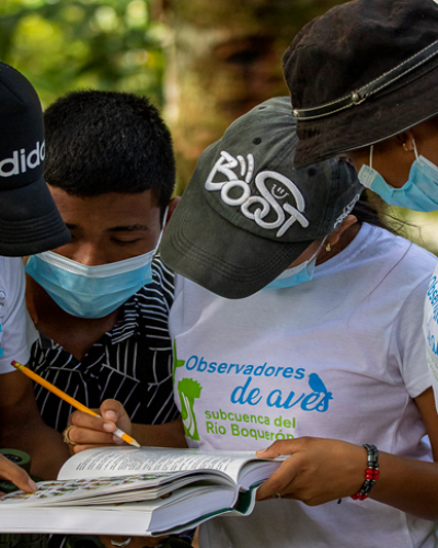 Fincas integrales para el fortalecimiento comunal y la conservación de la biodiversidad en la subcuenca del río Boquerón, Cuenca hidrográfica del Canal de Panama