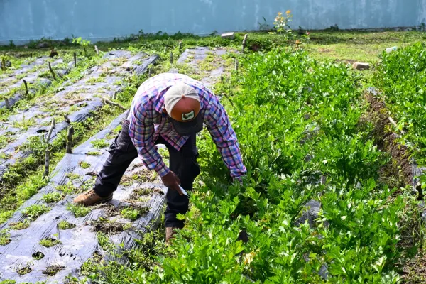 <p>Se trata de la primera escuela rural en todo el país con esta tecnología. Más de 4,500 personas de la comunidad se benefician con esta iniciativa. Con una inversión de más de 75 mil dólares, el proyecto impulsa la gestión sostenible del agua en zonas con acceso limitado. Ciudad de Panamá, julio de 2025 – [&hellip;]</p>