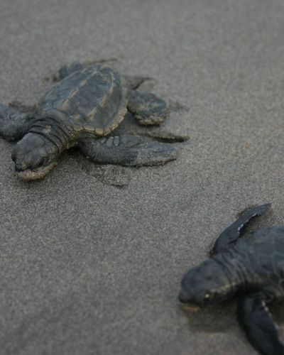 Parque Nacional Coiba