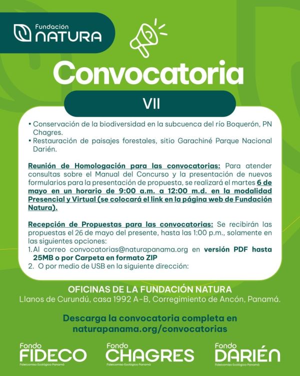 foto de CONVOCATORIA VII