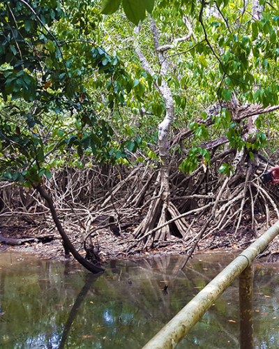 Implementation of conservation measures in the Caisán River sub-basin