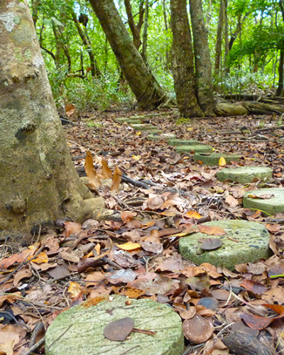 Implementación de medidas de conservación de la microcuenca del río Gallito