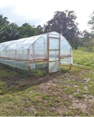 Mejora de la capacidad t&eacute;cnica para la producci&oacute;n y comercializaci&oacute;n de caf&eacute; en San Crist&oacute;bal de Cocl&eacute;