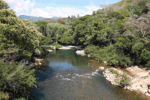 <p>La historia de éxito de Carlos y su finca sostenible gracias a la Fundación Natura. En un mundo donde la sostenibilidad y la conservación del medio ambiente son imperativas, la Fundación Natura se enorgullece de compartir una inspiradora historia de transformación a través del Fondo FIDECO y la economía circular. Conozcan la historia de Carlos, [&hellip;]</p>