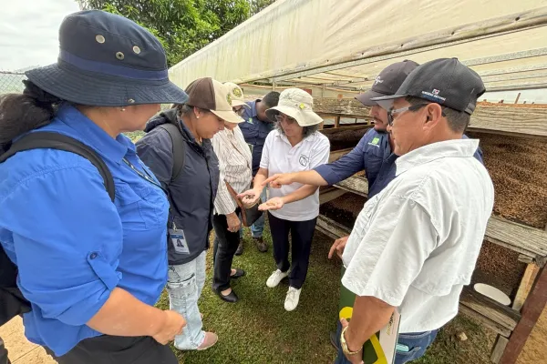<p>– Coclé, Panamá – En el marco del Programa Reduce tu Huella Productos, un grupo de técnicos de diversas entidades gubernamentales, incluyendo el Ministerio de Ambiente (MiAMBIENTE), el Ministerio de Desarrollo Agropecuario (MIDA), el Instituto de Innovación Agropecuaria de Panamá (IDIAP) y cooperativas locales, participaron en una gira de campo en la Finca La Vieja [&hellip;]</p>