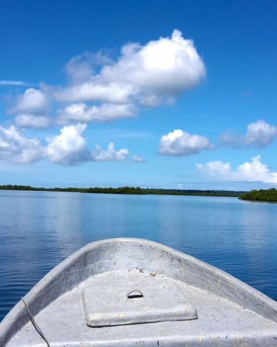 Parque Nacional Isla Bastimentos (POA 2020)