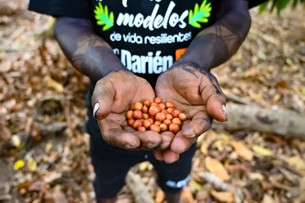 <p>Fundación Natura participó en el panel “ACTIVANDO EL PACTO” durante el lanzamiento de la Hoja de Ruta y Módulo del Pacto de Panamá con la Naturaleza – Nature Pledge. Nuestra Directora, Rosa Montañez, compartió la experiencia de campo de Fundación Natura, destacando qué requiere una organización implementadora para adherirse efectivamente al Pacto y generar impactos [&hellip;]</p>